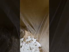 spruzzatore di innesco